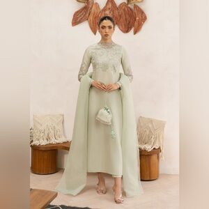 Pakistani Green Embroidered Dress / Elegant